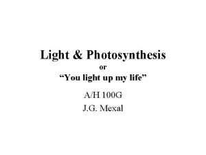 Photosynthesis c4