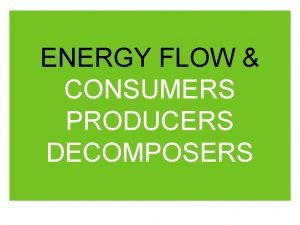 ENERGY FLOW CONSUMERS PRODUCERS DECOMPOSERS DAY 1 CIRCLE