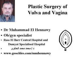 Plastic Surgery of Vulva and Vagina Dr Muhammad