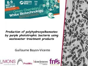 Production of polyhydroxyalkanoates by purple phototrophic bacteria using