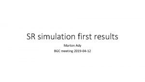 SR simulation first results Marton Ady BGC meeting