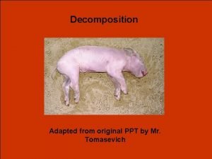 Decomposition Adapted from original PPT by Mr Tomasevich