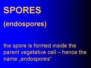 SPORES endospores the spore is formed inside the