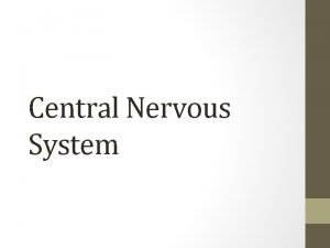 Central Nervous System Phineas Gage http www nejm