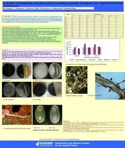 Evaluation of antagonistic and plant growth promoting properties