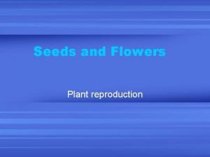 Seeds and Flowers Plant reproduction Plants without seeds