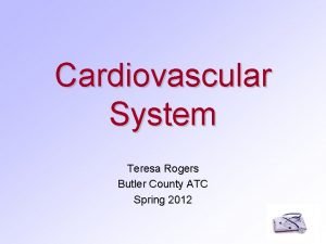 Cardiovascular System Teresa Rogers Butler County ATC Spring