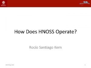 How Does HNOSS Operate Roco Santiago Kern 20