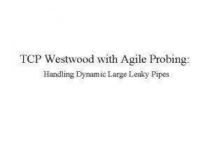 TCP Westwood with Agile Probing Handling Dynamic Large