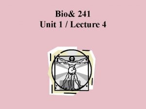 Bio 241