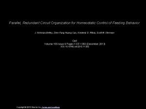 Parallel Redundant Circuit Organization for Homeostatic Control of