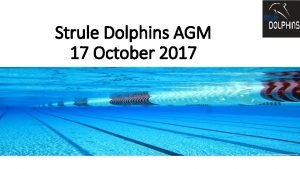 Strule Dolphins AGM 17 October 2017 Our Swimmers