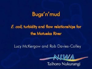 Bugsnmud E coli turbidity and flow relationships for