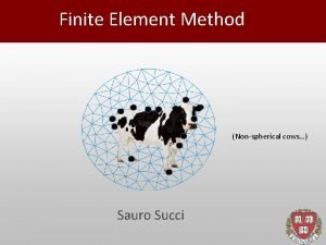 Finite Element Method Nonspherical cows Sauro Succi Finite