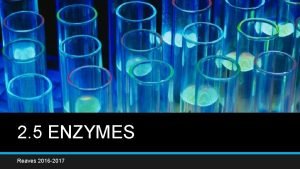 2 5 ENZYMES Reaves 2016 2017 What are