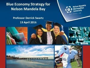 Blue Economy Strategy for Nelson Mandela Bay Professor