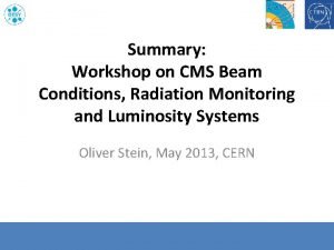 Summary Workshop on CMS Beam Conditions Radiation Monitoring