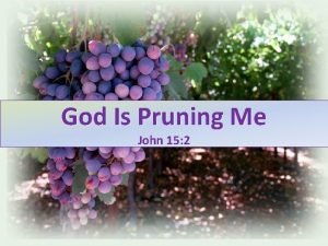 God is pruning me