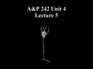 AP 242 Unit 4 Lecture 5 Optic nerve