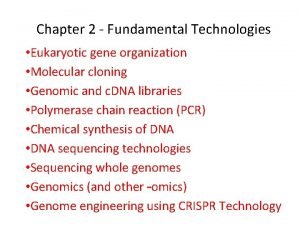 Chapter 2 Fundamental Technologies Eukaryotic gene organization Molecular