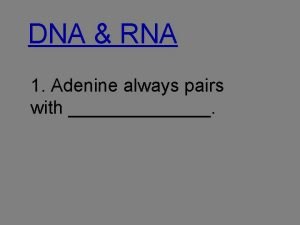 DNA RNA 1 Adenine always pairs with DNA