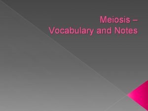 Meiosis vocabulary