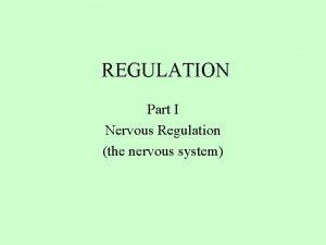 REGULATION Part I Nervous Regulation the nervous system