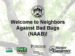 Welcome to Neighbors Against Bad Bugs NAAB What