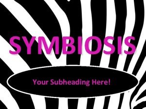 SYMBIOSIS Your Subheading Here Definition Symbiosis A longterm