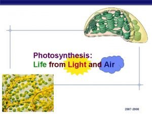 Photosynthesis ap bio