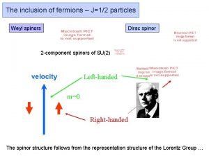 The inclusion of fermions J12 particles Dirac spinor