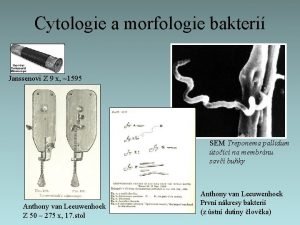 Cytologie a morfologie bakteri Janssenovi Z 9 x