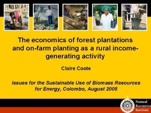 The economics of forest plantations and onfarm planting