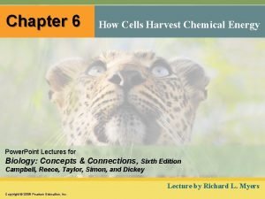 Chapter 6 how cells harvest chemical energy