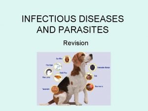 INFECTIOUS DISEASES AND PARASITES Revision Fungal Infection ringworm