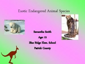Exotic Endangered Animal Species Samantha Smith Age 12
