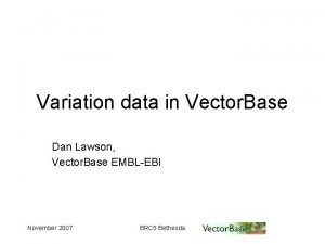 Variation data in Vector Base Dan Lawson Vector