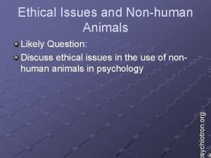 Ethical Issues and Nonhuman Animals sychlotron org Likely