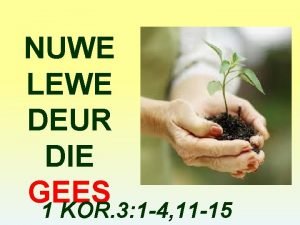 NUWE LEWE DEUR DIE GEES 1 KOR 3