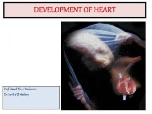 DEVELOPMENT OF HEART Prof Saeed Abuel Makarem Dr