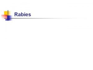 Rabies incubation period