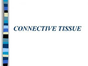 CONNECTIVE TISSUE Tissues n n n The tissues