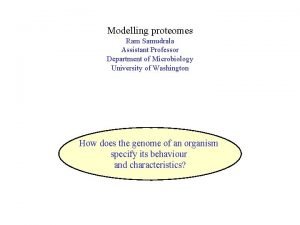 Modelling proteomes Ram Samudrala Assistant Professor Department of