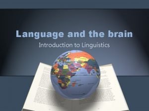 Language and the brain in linguistics