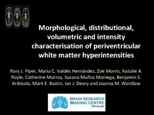 Morphological distributional volumetric and intensity characterisation of periventricular