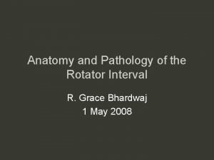 Rotator interval contents
