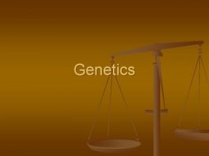 Genetics Mendelian Genetics n n Genetics The branch