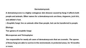 Dermatomycosis A dermatomycosis is a highly contagious skin