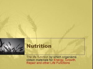 Nutrition The life function by which organisms obtain