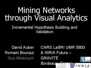 Mining Networks through Visual Analytics Incremental Hypothesis Building